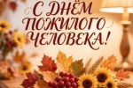 Турниры, посвященные Дню пожилого человека (2026)