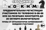 Открытый Блиц турнир в МАУ ЦД "Родина" 2026
