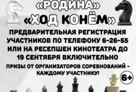 Блиц турнир в МАУ ЦД "Родина"